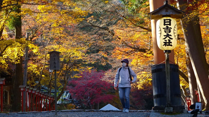 f:id:shioshiohida:20211203141440j:plain
