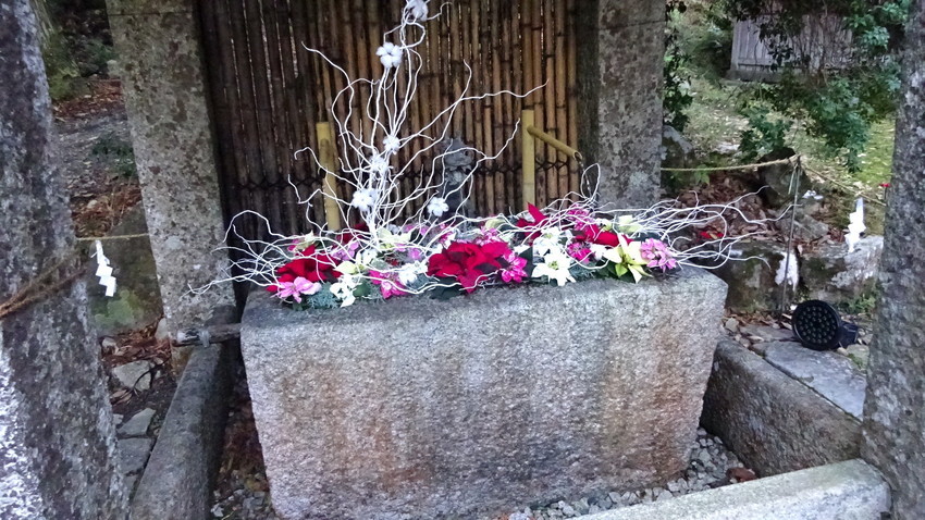 f:id:shioshiohida:20211203142012j:plain