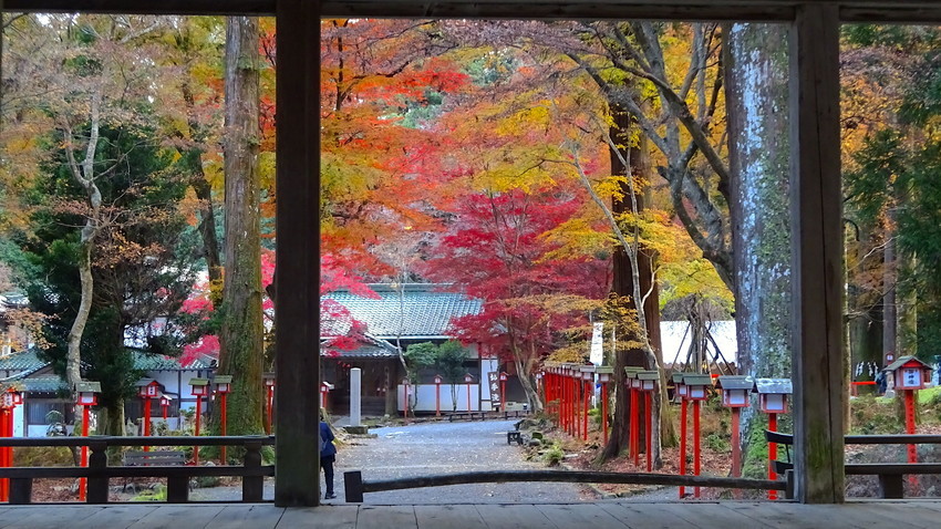 f:id:shioshiohida:20211203142404j:plain