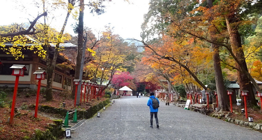 f:id:shioshiohida:20211203143944j:plain