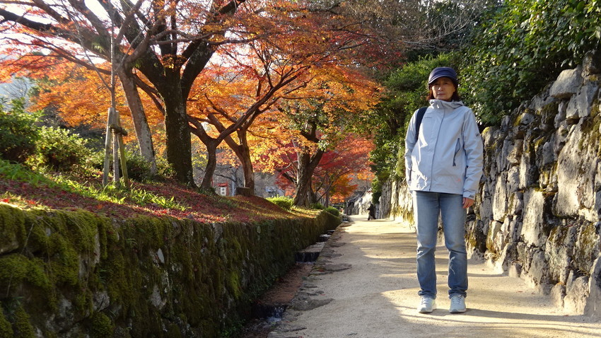 f:id:shioshiohida:20211203150555j:plain