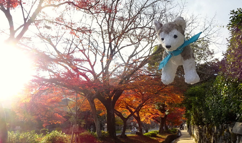 f:id:shioshiohida:20211203150807j:plain