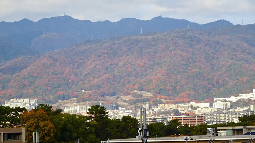 f:id:shioshiohida:20211210111456j:plain
