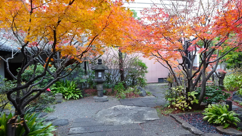 f:id:shioshiohida:20211210155945j:plain