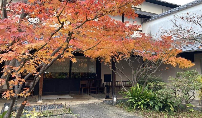 f:id:shioshiohida:20211210160327j:plain