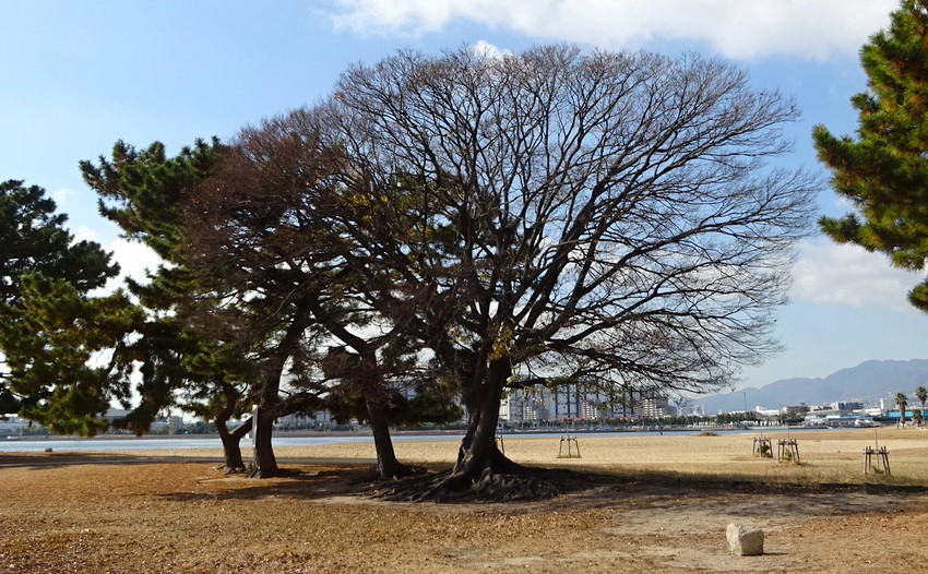 f:id:shioshiohida:20211214115336j:plain