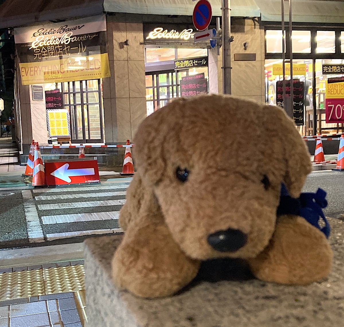 f:id:shioshiohida:20211215190604j:plain