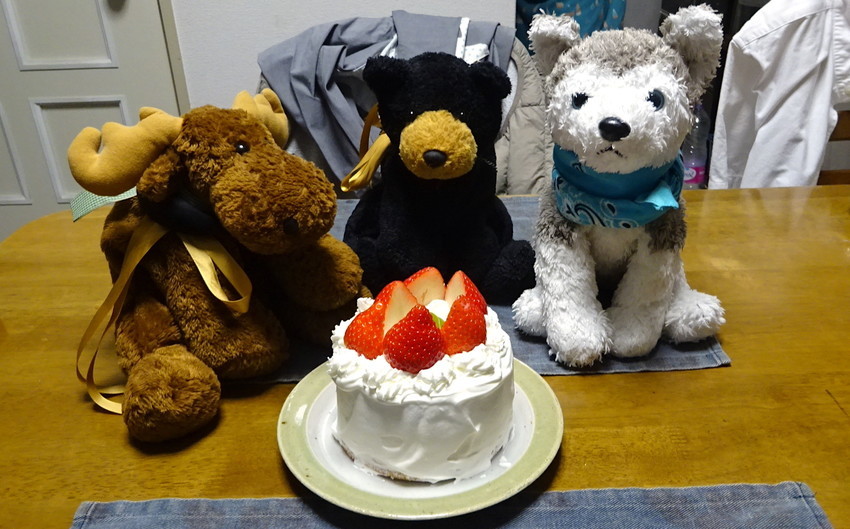 f:id:shioshiohida:20211225215447j:plain