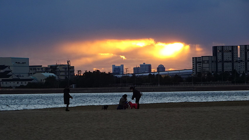f:id:shioshiohida:20211231164325j:plain