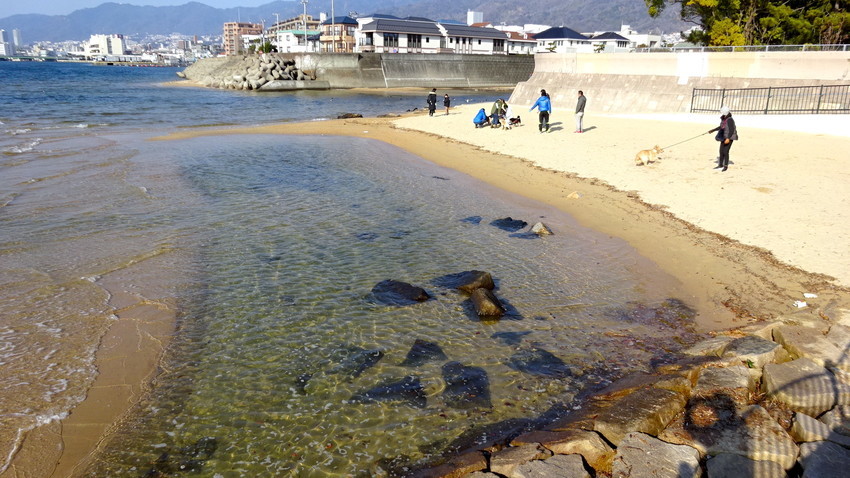 f:id:shioshiohida:20220103101727j:plain