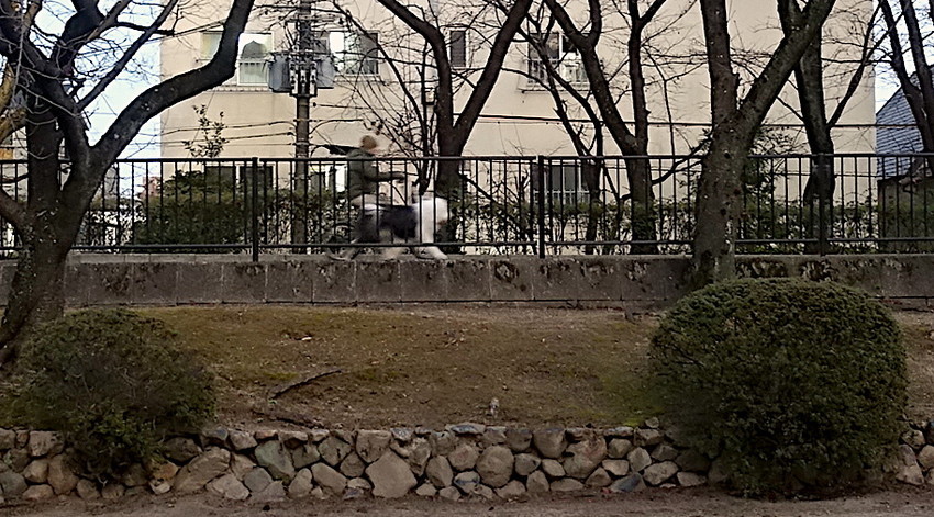 f:id:shioshiohida:20220103173002j:plain
