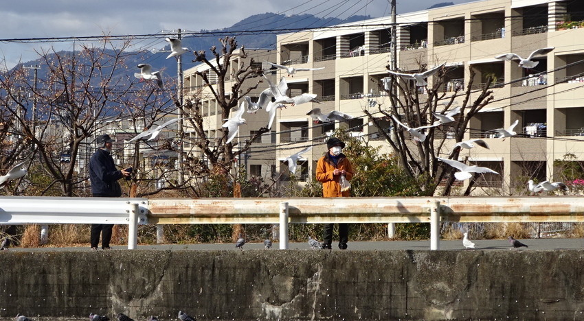 f:id:shioshiohida:20220105105428j:plain