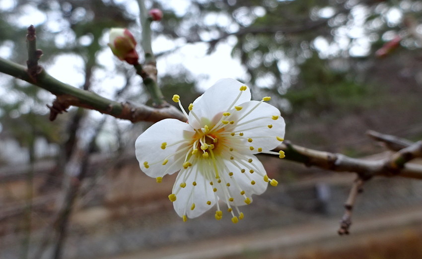 f:id:shioshiohida:20220121115339j:plain