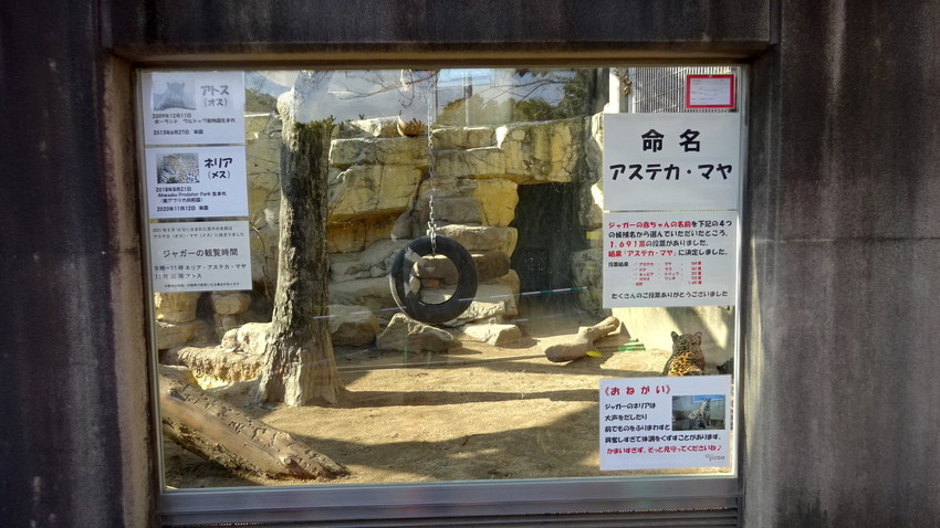 f:id:shioshiohida:20220128102804j:plain