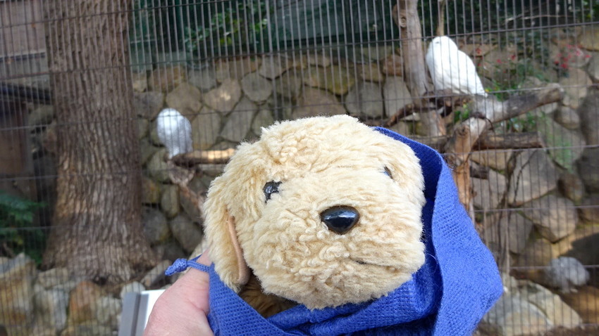 f:id:shioshiohida:20220128110740j:plain