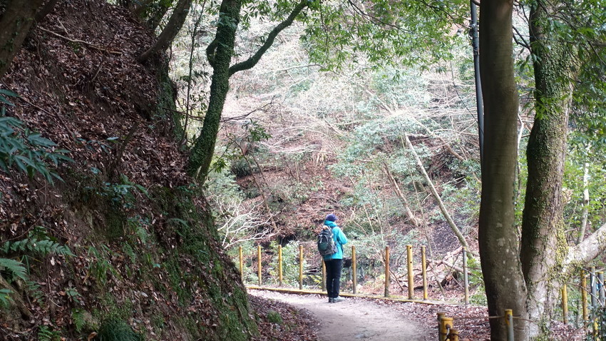 f:id:shioshiohida:20220218125734j:plain
