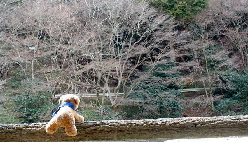 f:id:shioshiohida:20220218132917j:plain