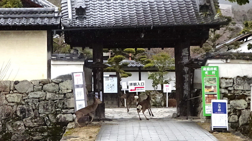 f:id:shioshiohida:20220221142754j:plain