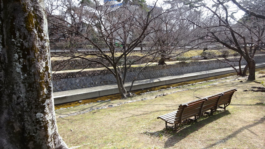 f:id:shioshiohida:20220305114057j:plain