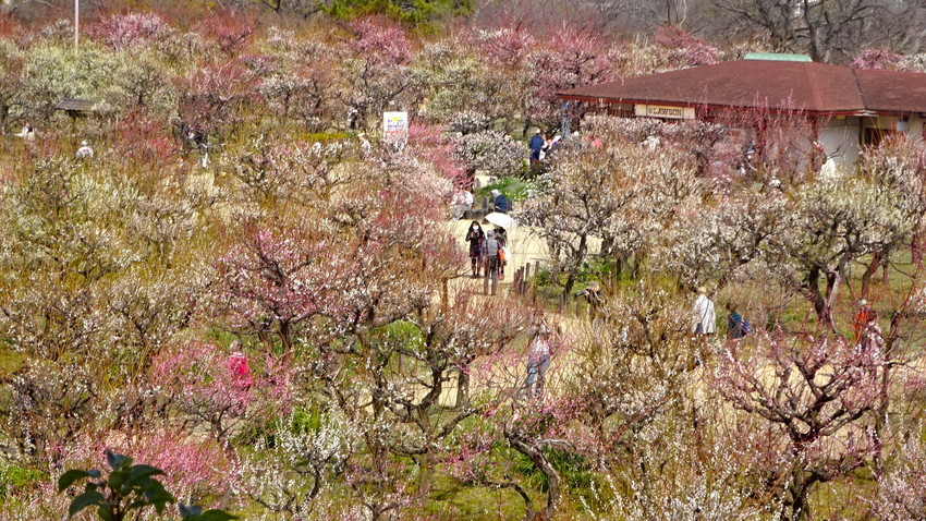 f:id:shioshiohida:20220310124928j:plain