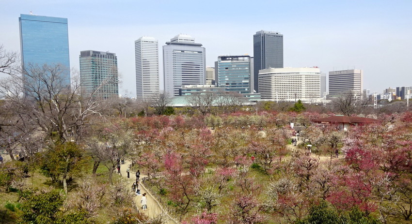 f:id:shioshiohida:20220310124955j:plain
