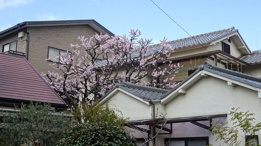 f:id:shioshiohida:20220320113437j:plain