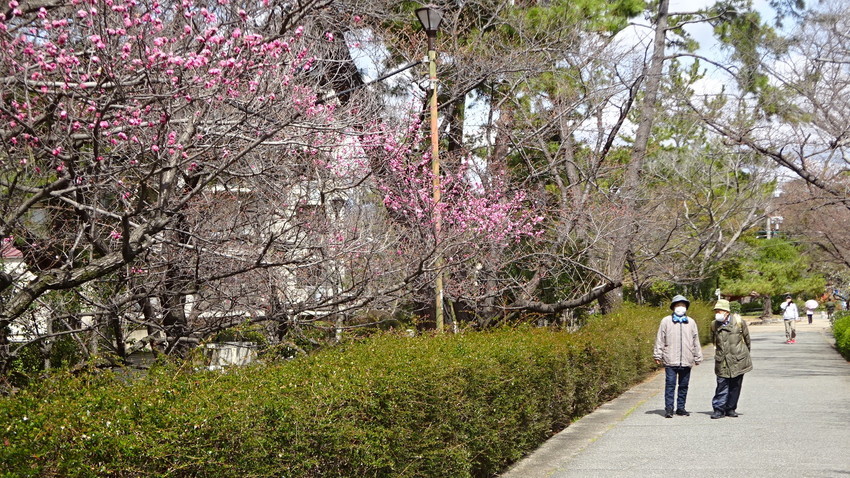 f:id:shioshiohida:20220321112723j:plain
