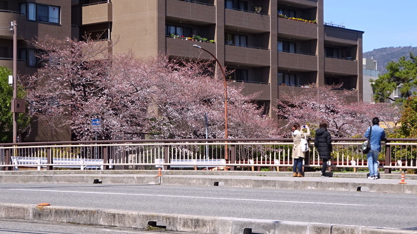 f:id:shioshiohida:20220327113217j:plain