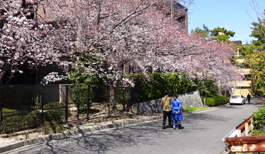 f:id:shioshiohida:20220327114103j:plain