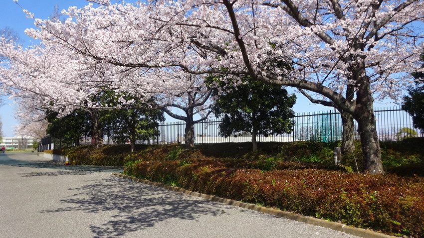 f:id:shioshiohida:20220402100133j:plain