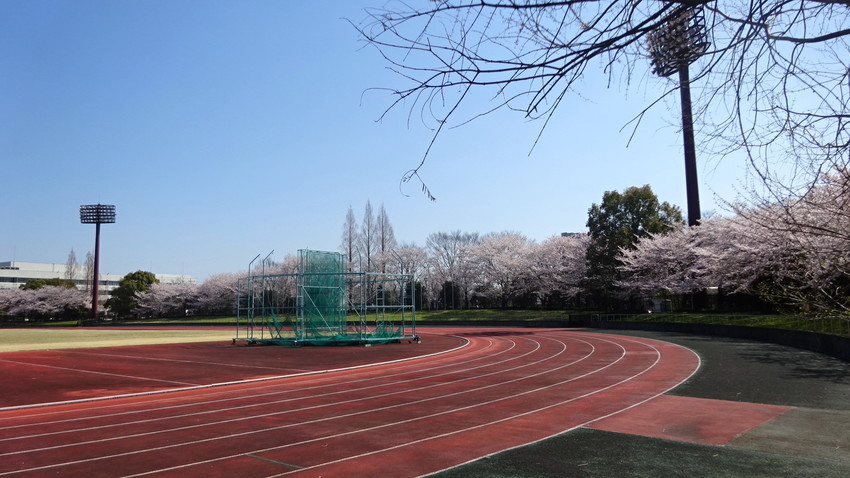 f:id:shioshiohida:20220402100223j:plain