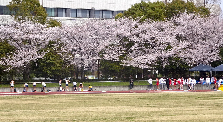 f:id:shioshiohida:20220402132229j:plain