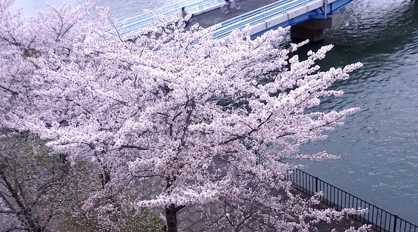 f:id:shioshiohida:20220403183009j:plain