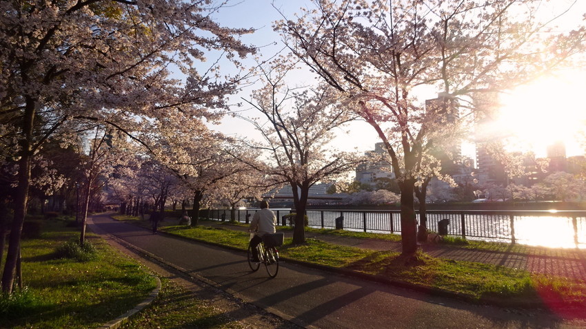f:id:shioshiohida:20220404173405j:plain