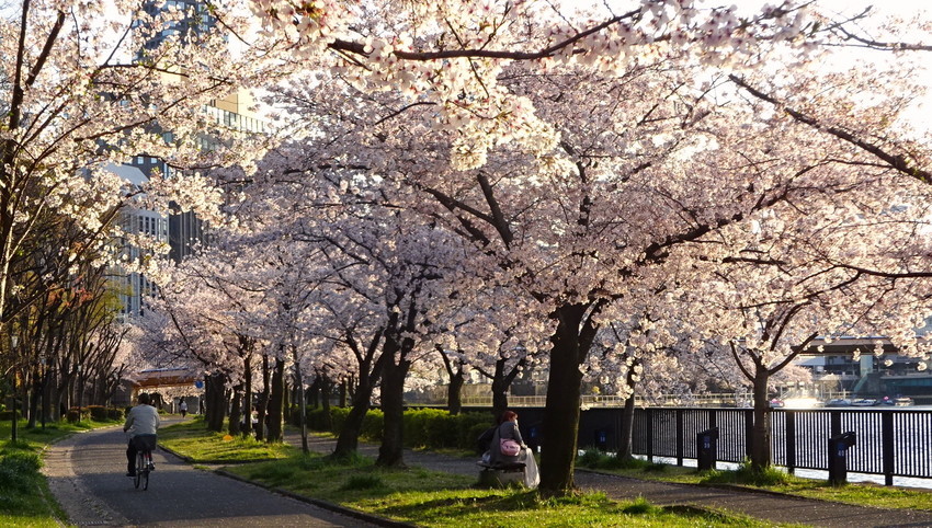 f:id:shioshiohida:20220404173418j:plain