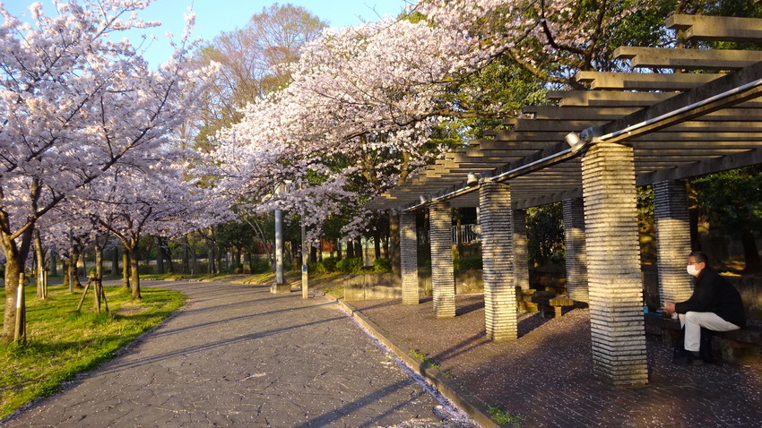 f:id:shioshiohida:20220404174451j:plain