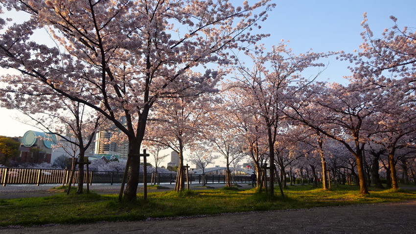 f:id:shioshiohida:20220404175621j:plain