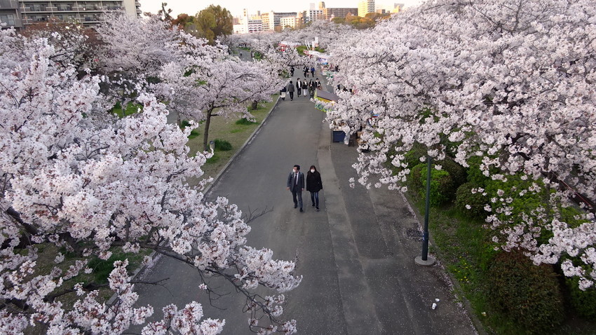f:id:shioshiohida:20220404180619j:plain