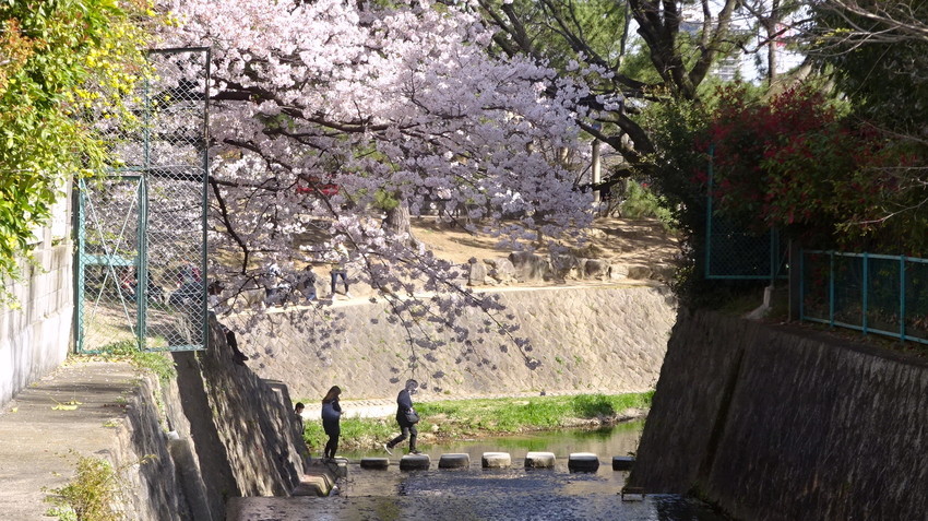 f:id:shioshiohida:20220405150000j:plain