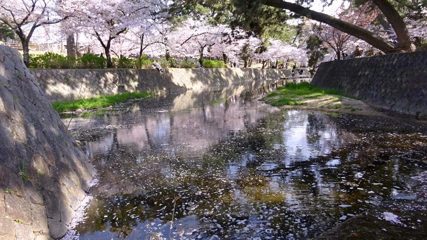 f:id:shioshiohida:20220405151202j:plain