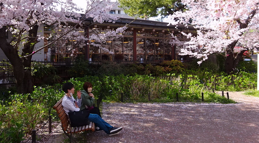 f:id:shioshiohida:20220405151419j:plain