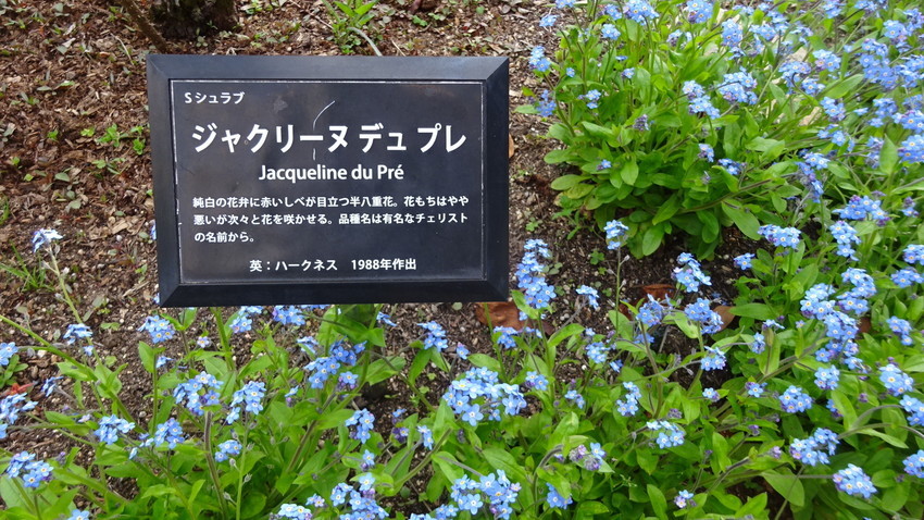 f:id:shioshiohida:20220405163235j:plain