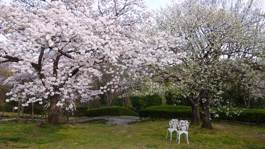 f:id:shioshiohida:20220405170813j:plain
