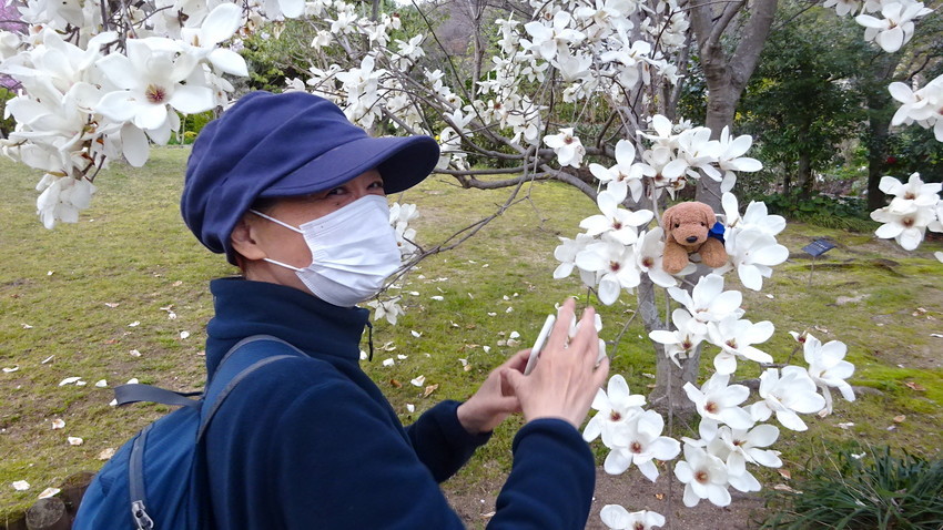 f:id:shioshiohida:20220405171829j:plain