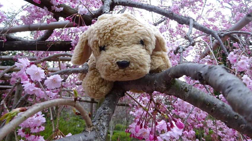 f:id:shioshiohida:20220405172156j:plain