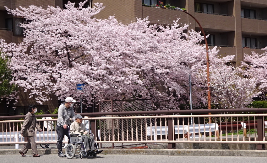 f:id:shioshiohida:20220406112239j:plain