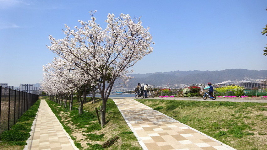 f:id:shioshiohida:20220406114809j:plain