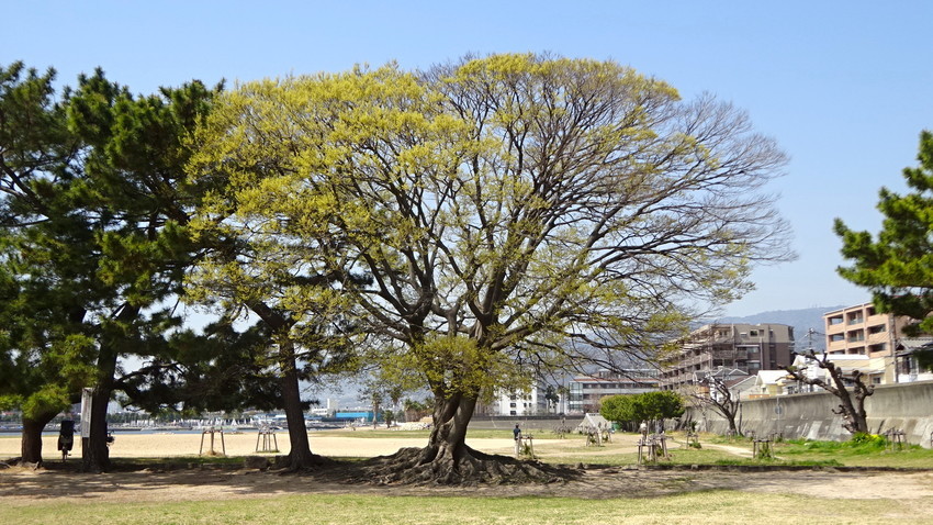 f:id:shioshiohida:20220406115918j:plain