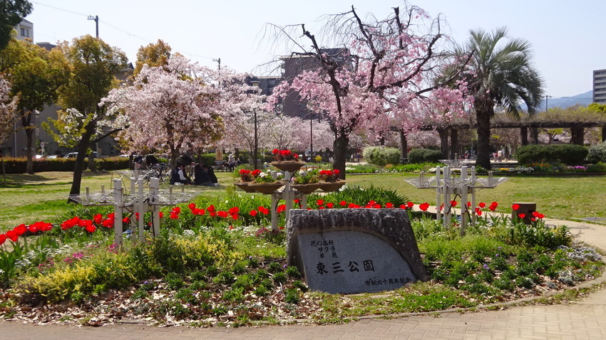f:id:shioshiohida:20220407135831j:plain