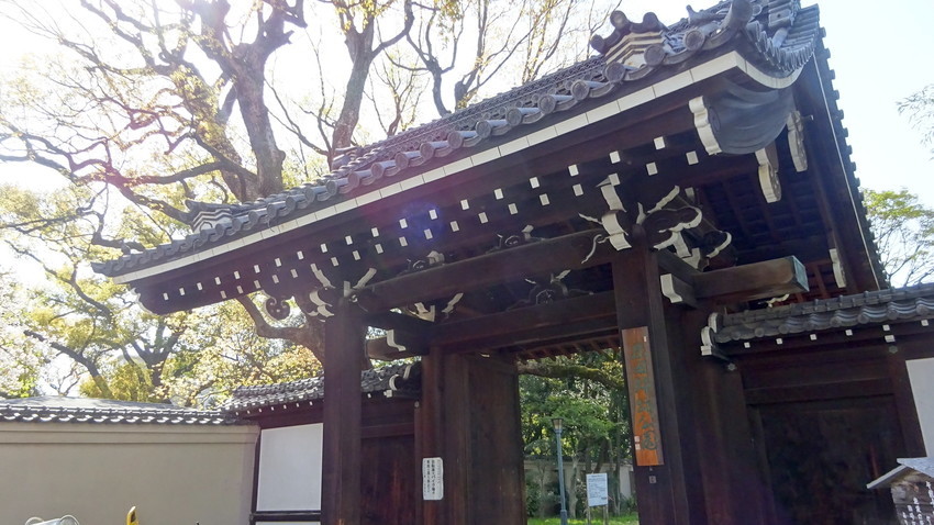 f:id:shioshiohida:20220407145244j:plain